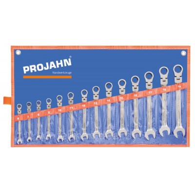 Набор ключей-трещоток с шарниром 4 в 1  Projahn