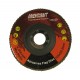 Круг лепестковый 125 K60 T29 (КЛТ2) ORIENTCRAFT